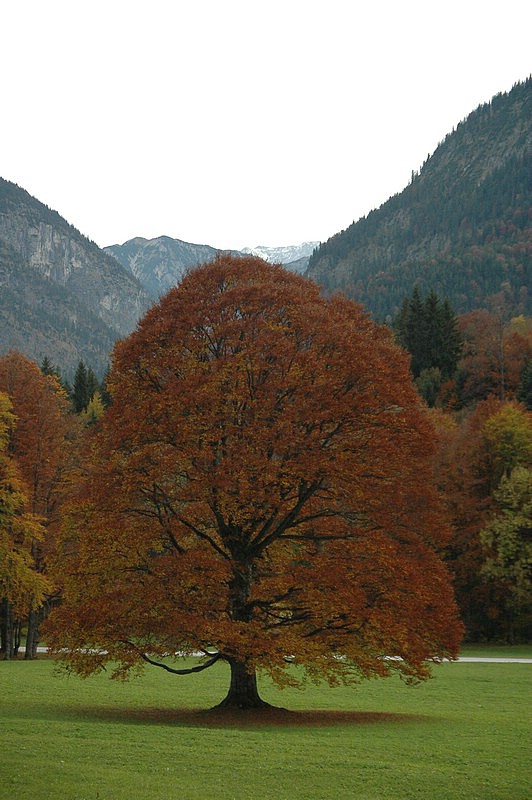 DSC_0038.JPG