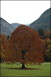 DSC_0038.JPG