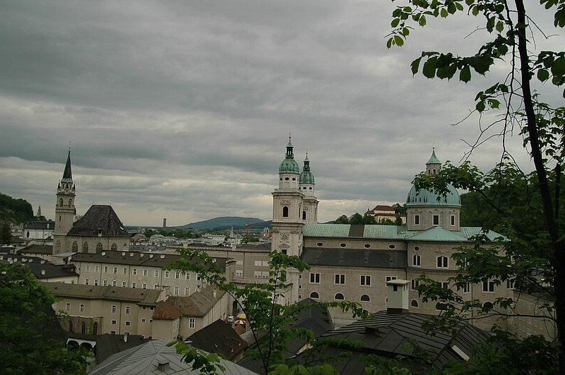 DSC_0303.JPG