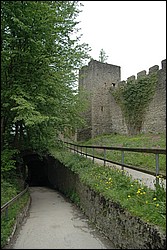 DSC_0285.JPG