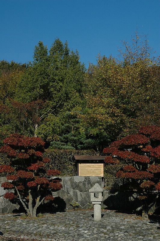 DSC_0319.JPG