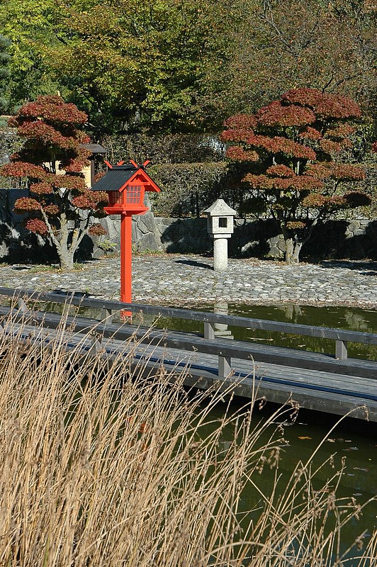 DSC_0330.JPG