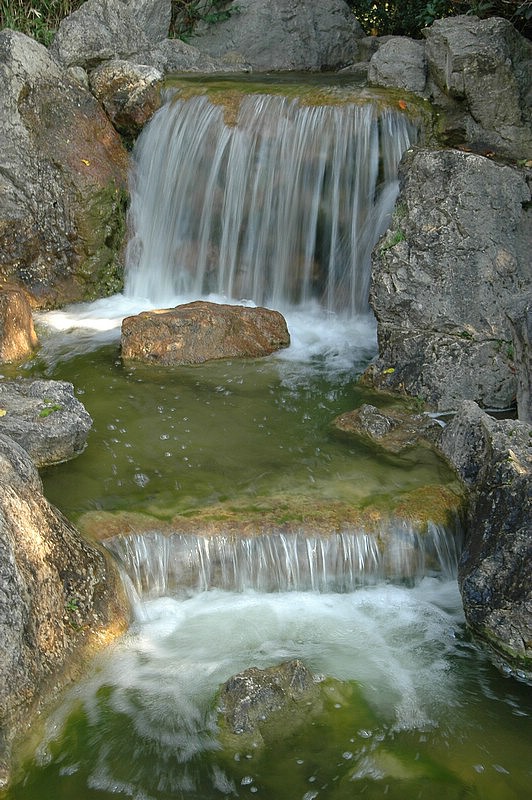 DSC_0336.JPG