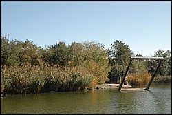 DSC_0242.JPG