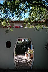 DSC_0307.JPG