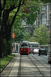 DSC_0077.JPG