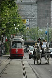 DSC_0116.JPG