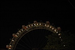 DSC_0221.JPG