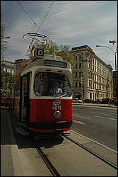 DSC_0236.JPG