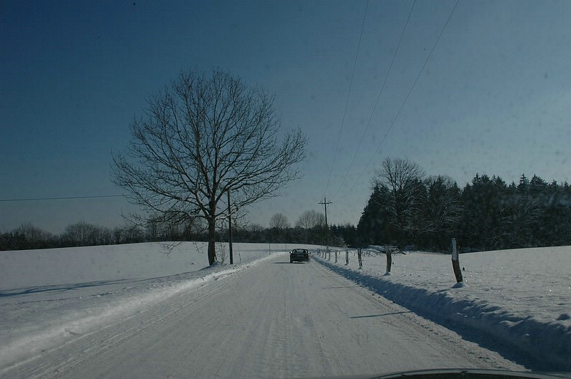 DSC_0107.JPG