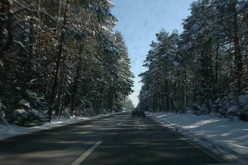 DSC_0110.JPG
