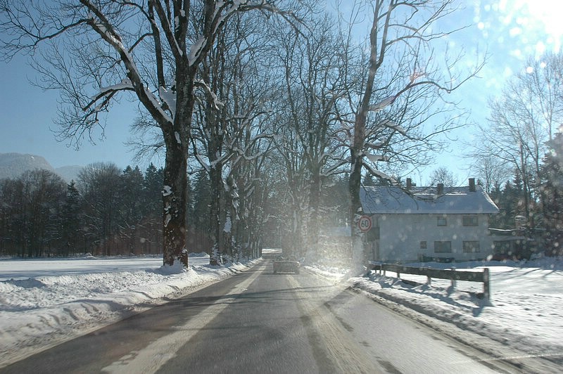DSC_0115.JPG