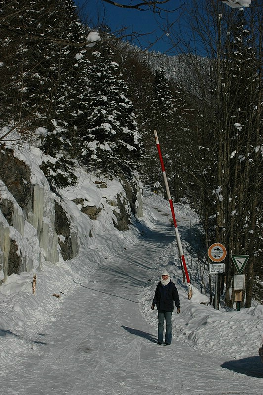 DSC_0117.JPG