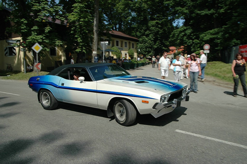 DSC_0135.JPG