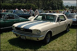 DSC_0005.JPG