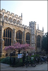 DSC_2460.JPG