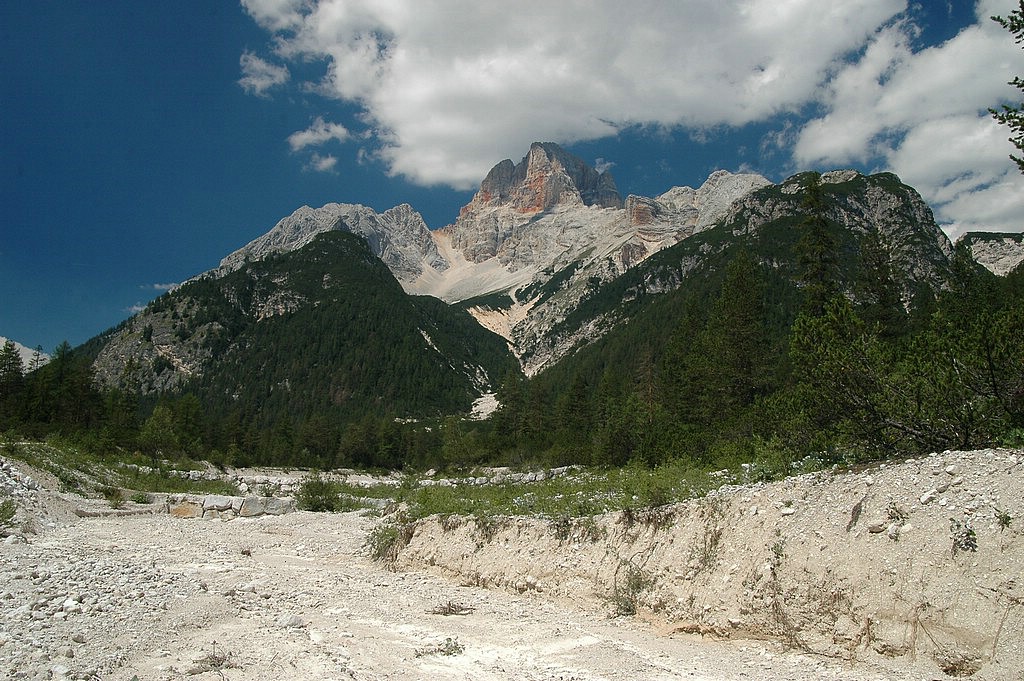 DSC_0379.JPG