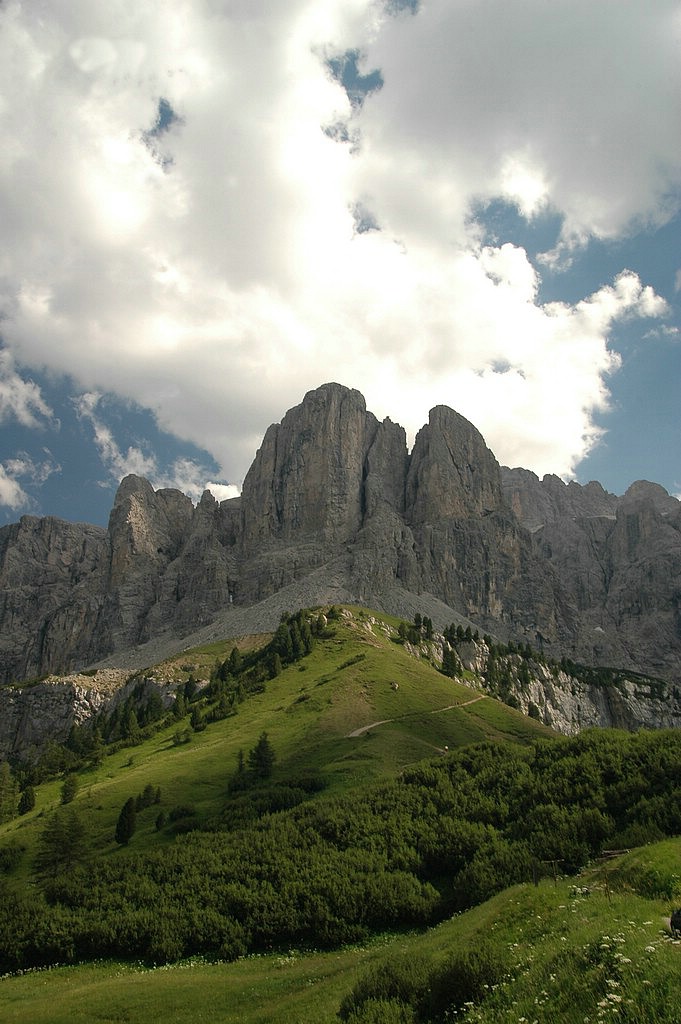 DSC_0475.JPG
