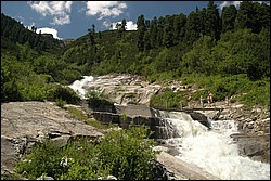 DSC_0135.JPG