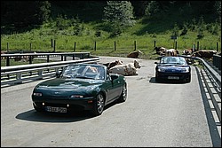 DSC_0161.JPG