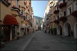 DSC_0499.JPG