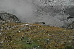 1SC_0125.JPG