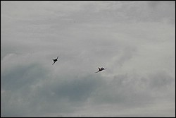 1SC_0156.JPG