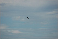 1SC_0288.JPG