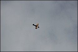 1SC_0396.JPG