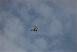 2SC_0053.JPG