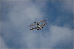 2SC_0074.JPG