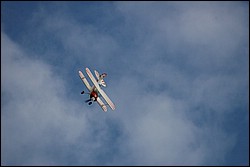 2SC_0082.JPG