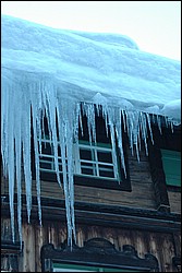 DSC_0060.JPG