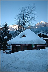 DSC_0064.JPG