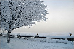DSC_0019.JPG