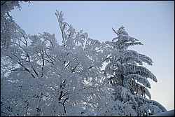 DSC_0034.JPG