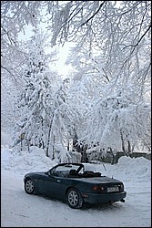DSC_0038.JPG