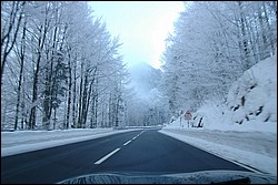 DSC_0043.JPG