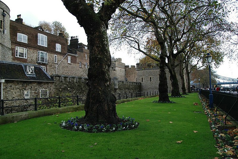 DSC_0187.JPG