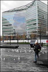 DSC_0145.JPG