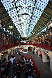 DSC_2129.JPG