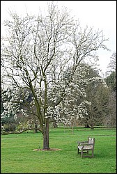 DSC_2330.JPG