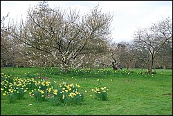 DSC_2333.JPG