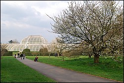 DSC_2334.JPG