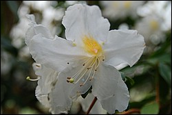 DSC_2358.JPG