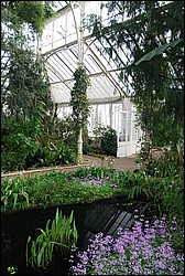 DSC_2362.JPG