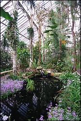 DSC_2366.JPG