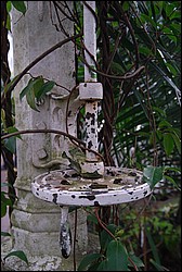 DSC_2367.JPG
