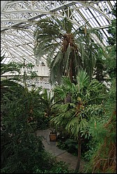 DSC_2377.JPG