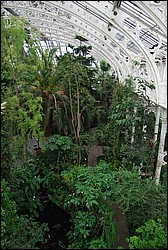 DSC_2380.JPG